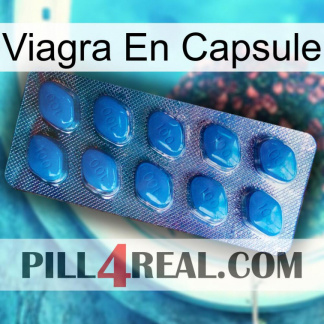 Viagra Capsule viagra1